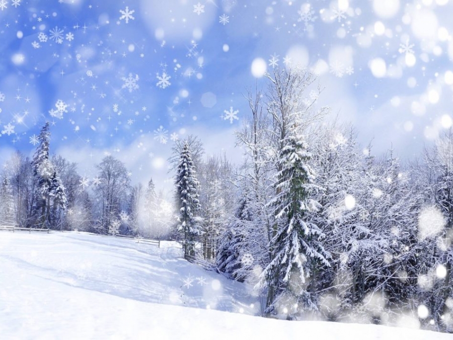 anime_winter_scenery_wallpaper_1_1140x713.jpg