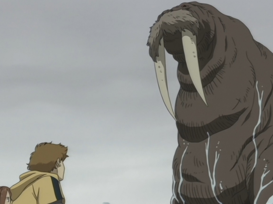 wolfsrain_22jjgjg.jpg